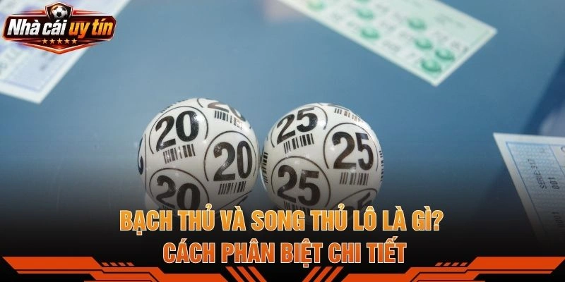 Bạch Thủ Và Song Thủ Lô Là Gì? Cách Phân Biệt Chi Tiết