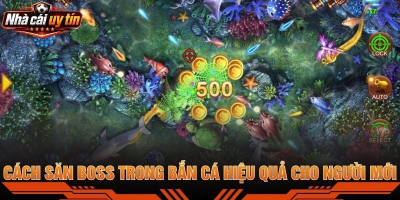 Cách Săn Boss Trong Bắn Cá Hiệu Quả Cho Người Mới