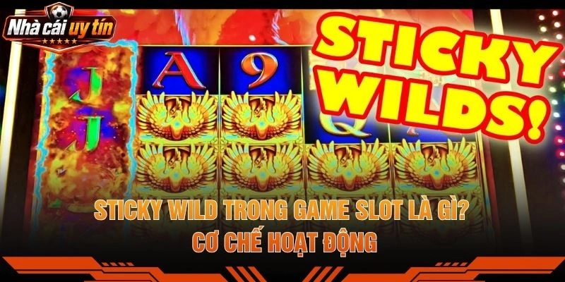 Sticky Wild Trong Game Slot Là Gì? Cơ Chế Hoạt Động
